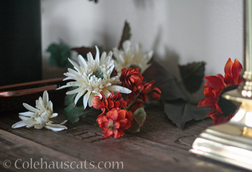 Fall decor © Colehauscats.com