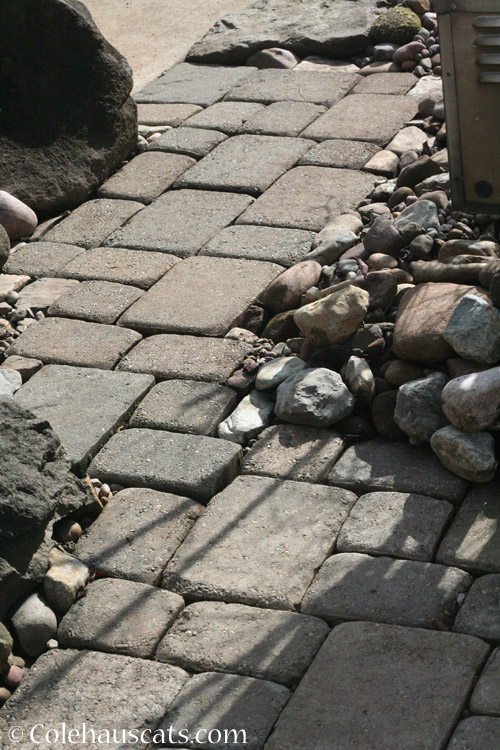 Mom's last cobblestone brick project, May 2020 © Colehauscats.com