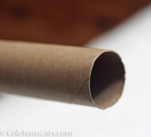 The paper towel roll © Colehauscats.com