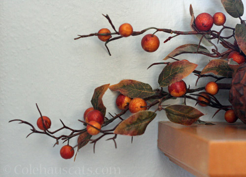 Mantle berries (faux), 2021 © Colehauscats.com