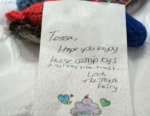 A note from the Tooth Fairy to Tessa © Colehauscats.com