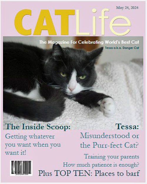 A magazine for Tessa © Colehauscats.com