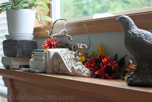 The mantle decorated for fall, October 2024 © Colehauscats.com