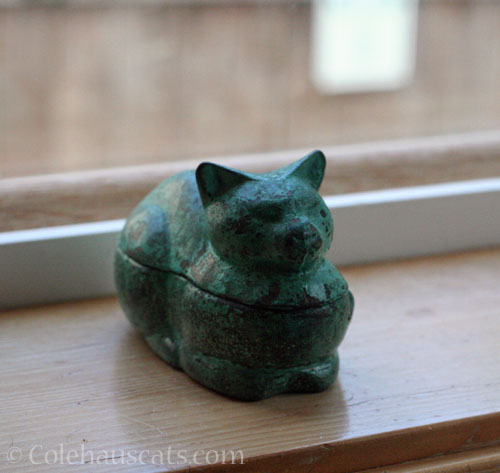 Little cat container © Colehauscats.com