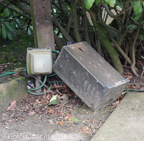 Broken Power transformer box, 2025 © Colehauscats.com